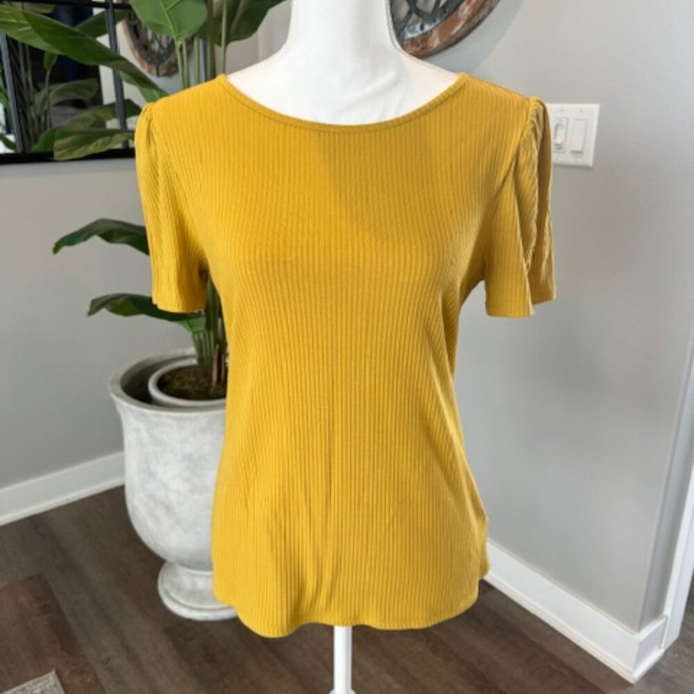 Express Ribbed Short Sleeve Scoop Neck Top